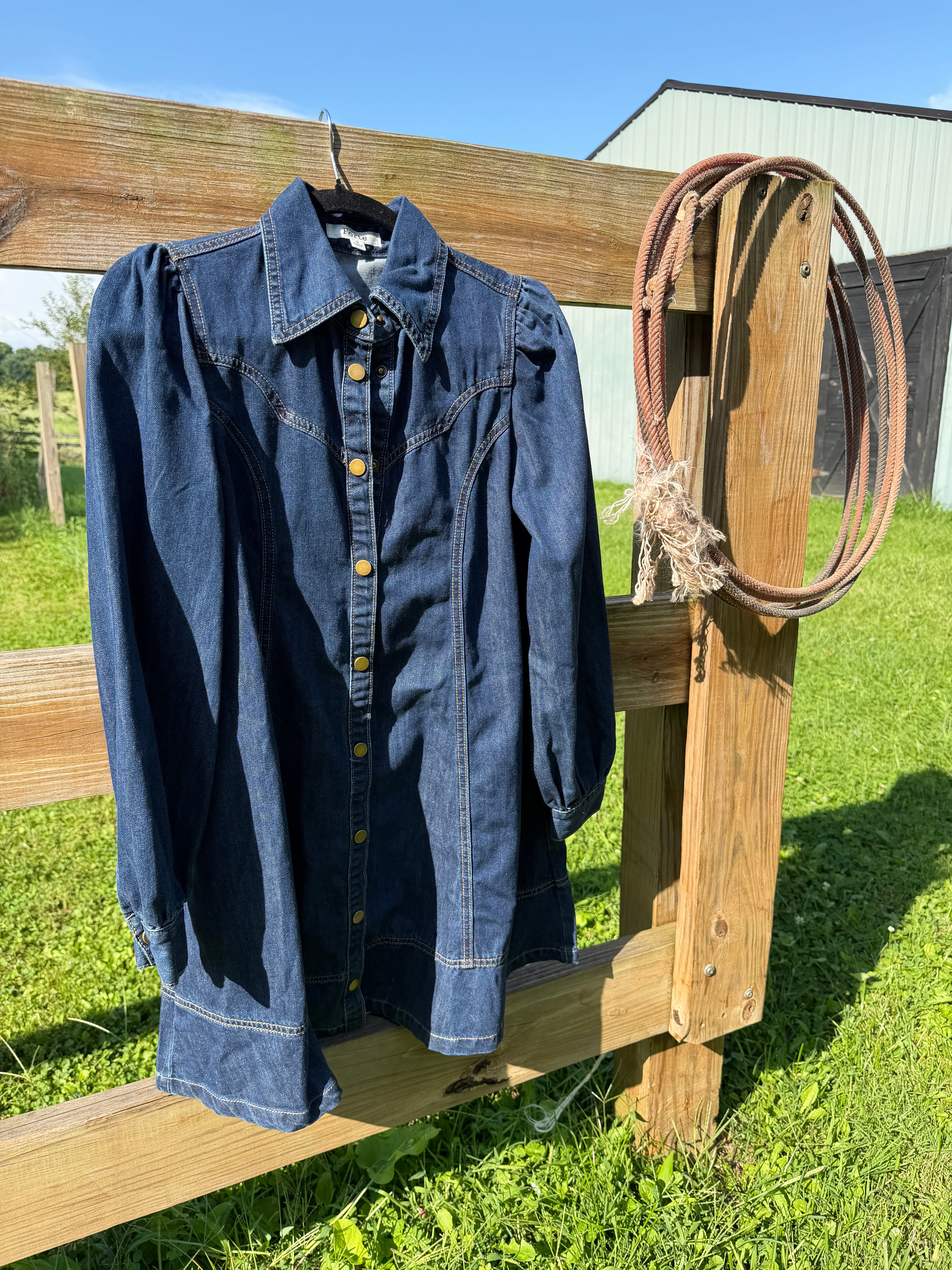 Denim long sleeve western dress