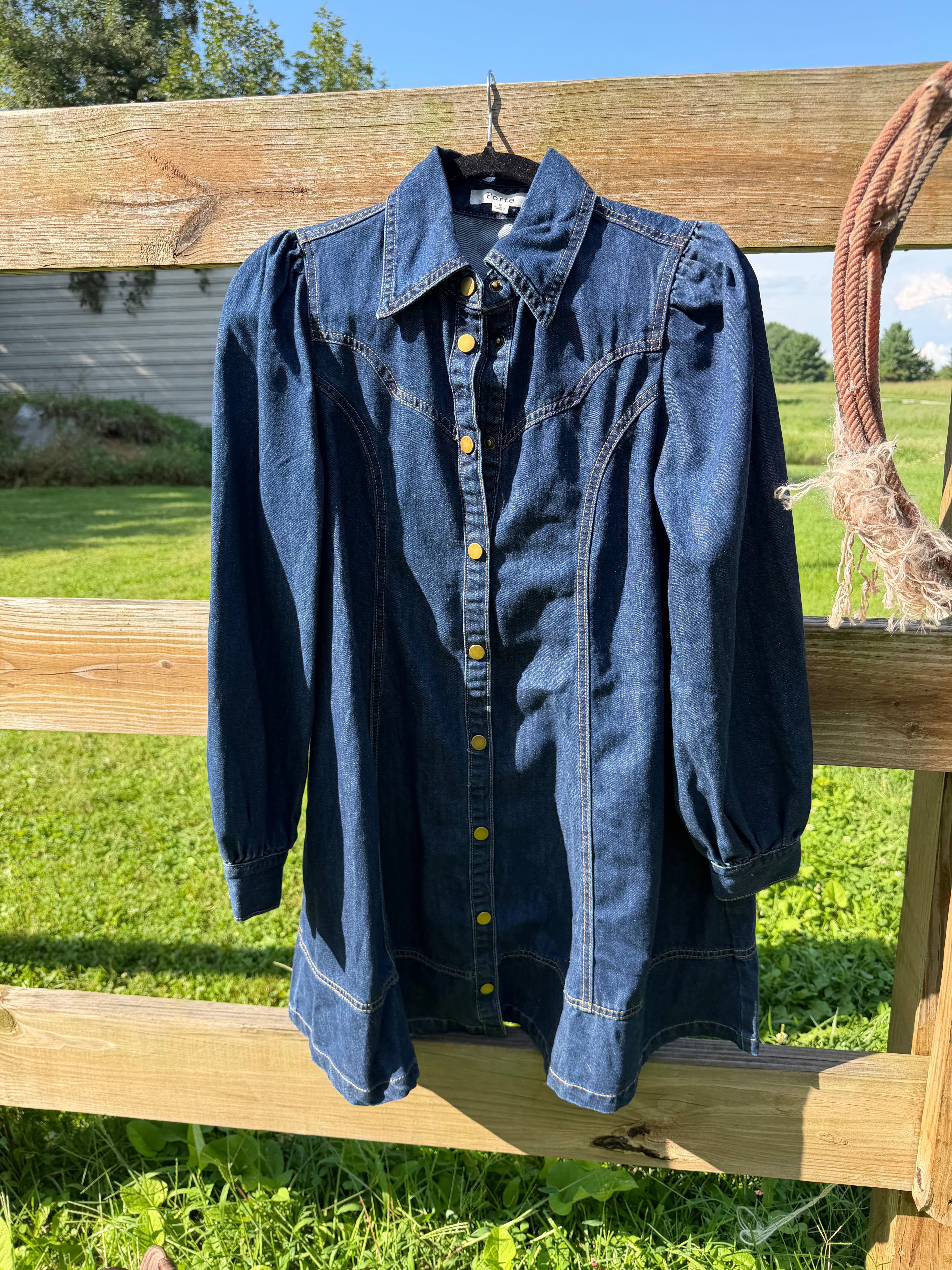 Denim long sleeve western dress