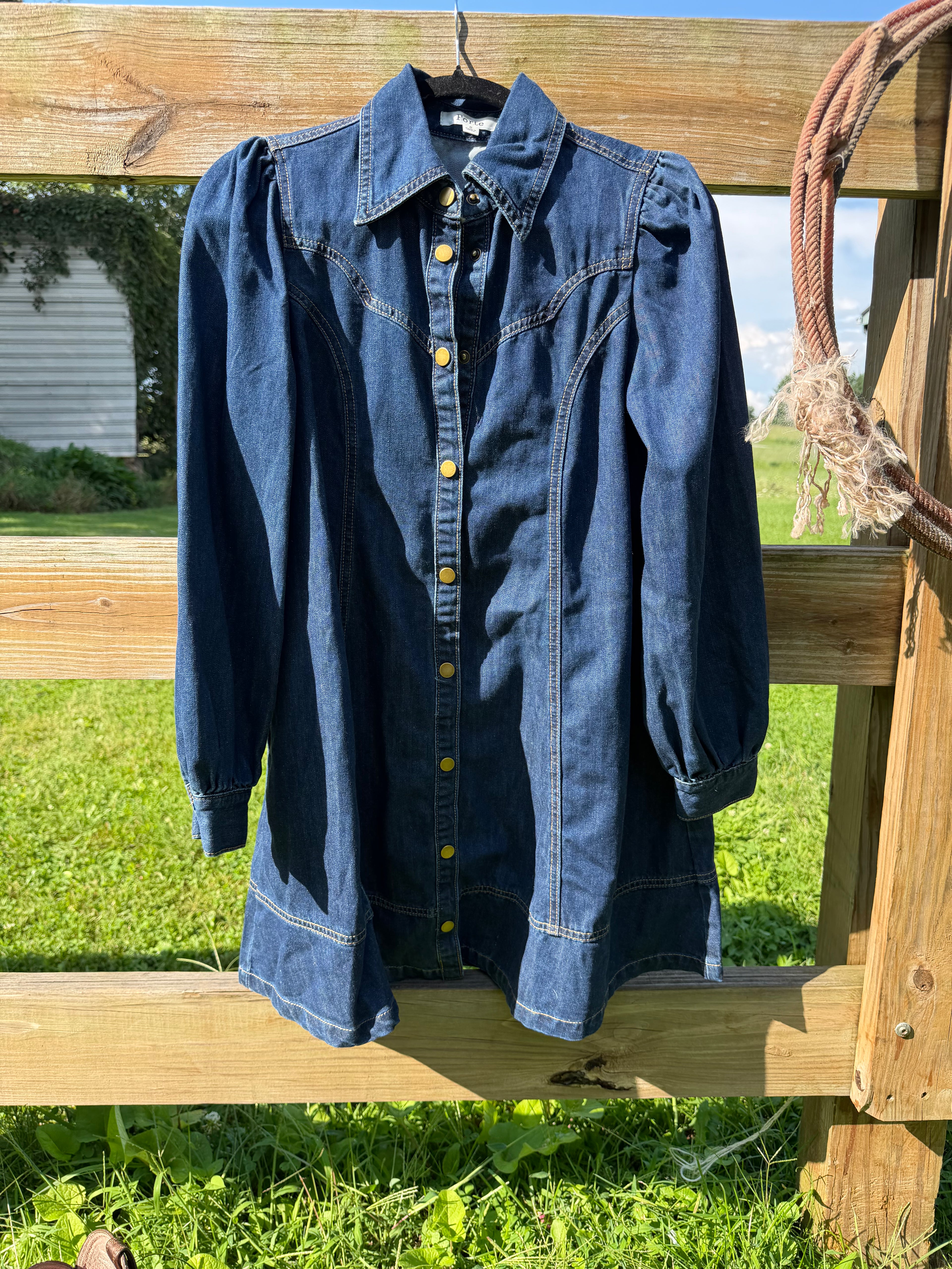 Denim long sleeve western dress